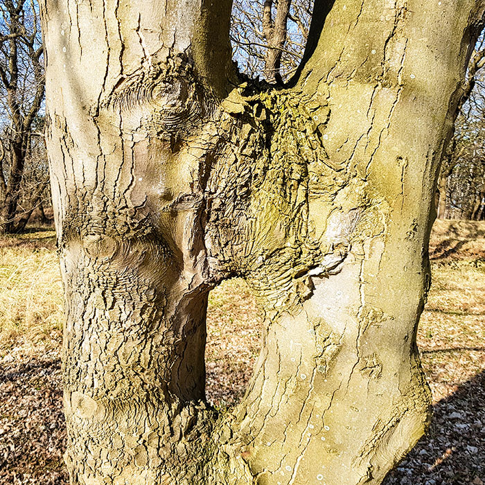 Carla Trappenburg hulpvragen verstrikking Carla Trappenburg hulpvragen verstrikking
