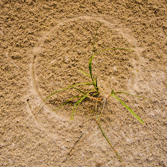 Carla Trappenburg hulpvragen vicieuze cirkel Carla Trappenburg hulpvragen vicieuze cirkel